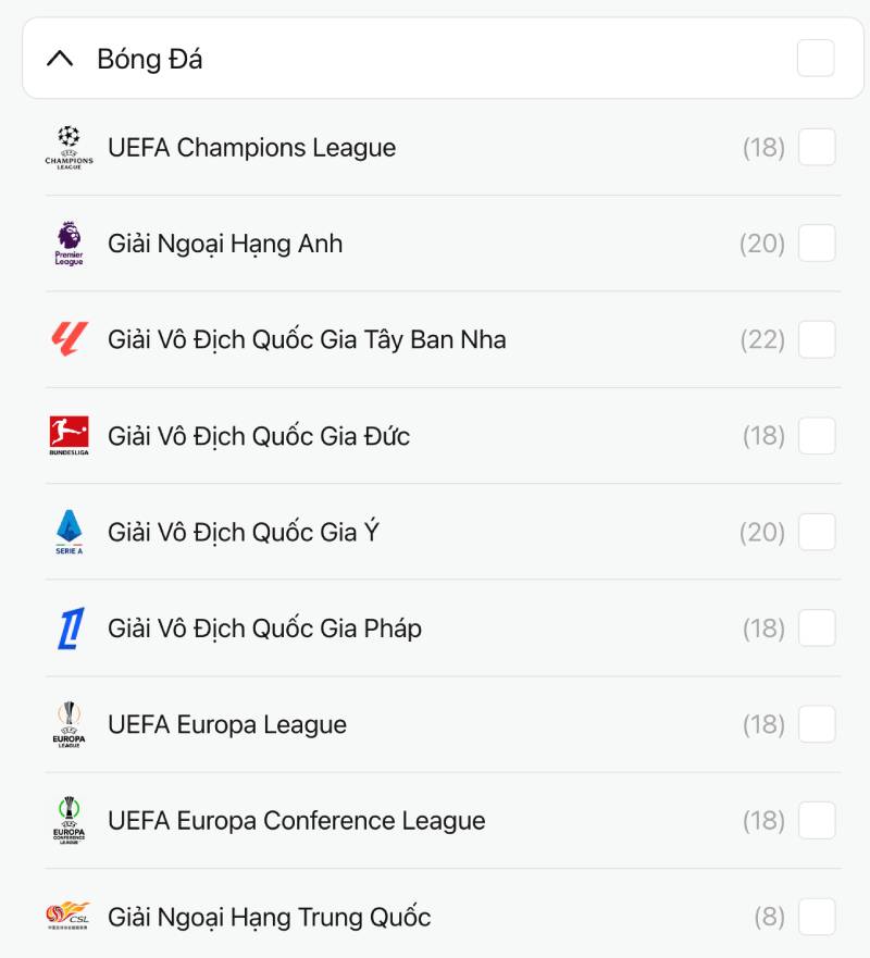 Dựa vào phong cách từng giải đấu