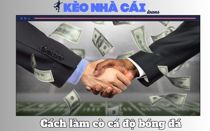 Lam Co Ca Do Bong Da Thuc Trang Rui Ro Va He Luy