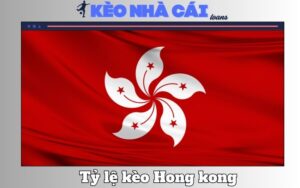 Ty Le Keo Hong Kong Cach Doc Va Kinh Nghiem Soi Keo Thuc Chien